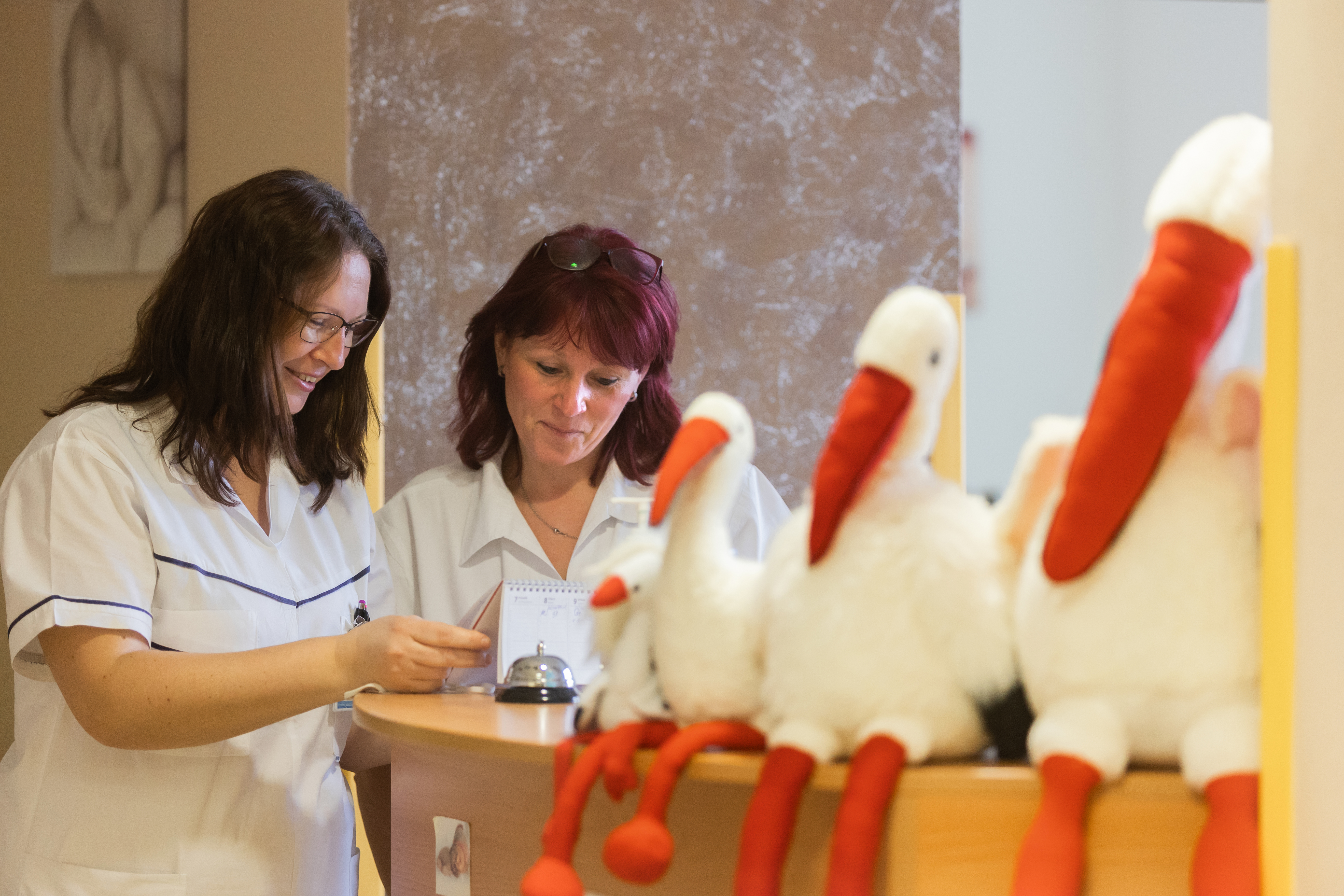 Chrudimská porodnice