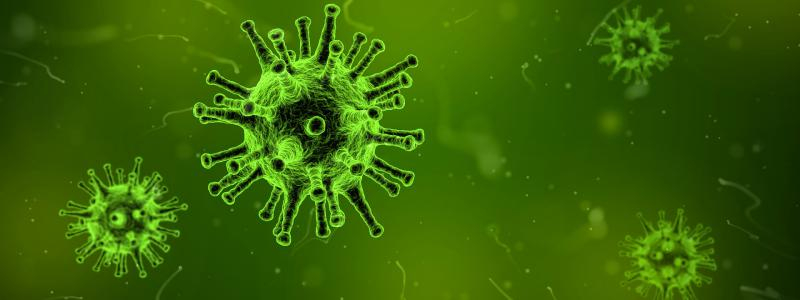Na vitamínu D stojí celý náš imunitní systém, měli bychom kontrolovat jeho hladinu